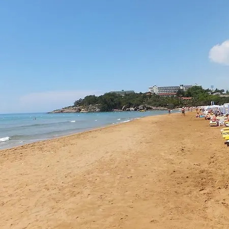 Beach 코나키